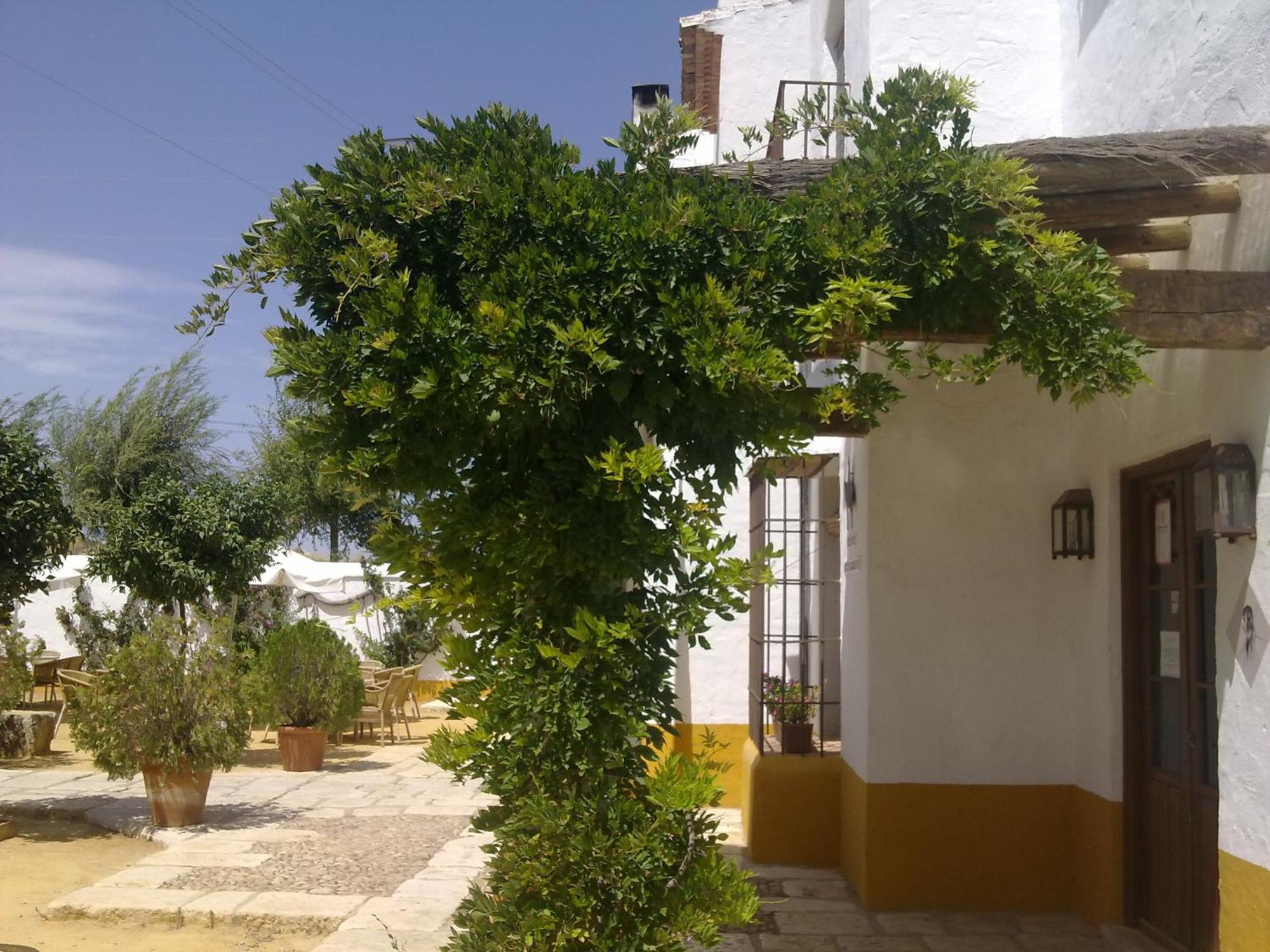 Hotel De Jose Mª El Tempranillo Alameda